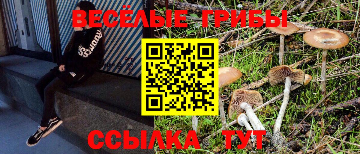 Псилоцибиновые грибы прущие грибы Богородск