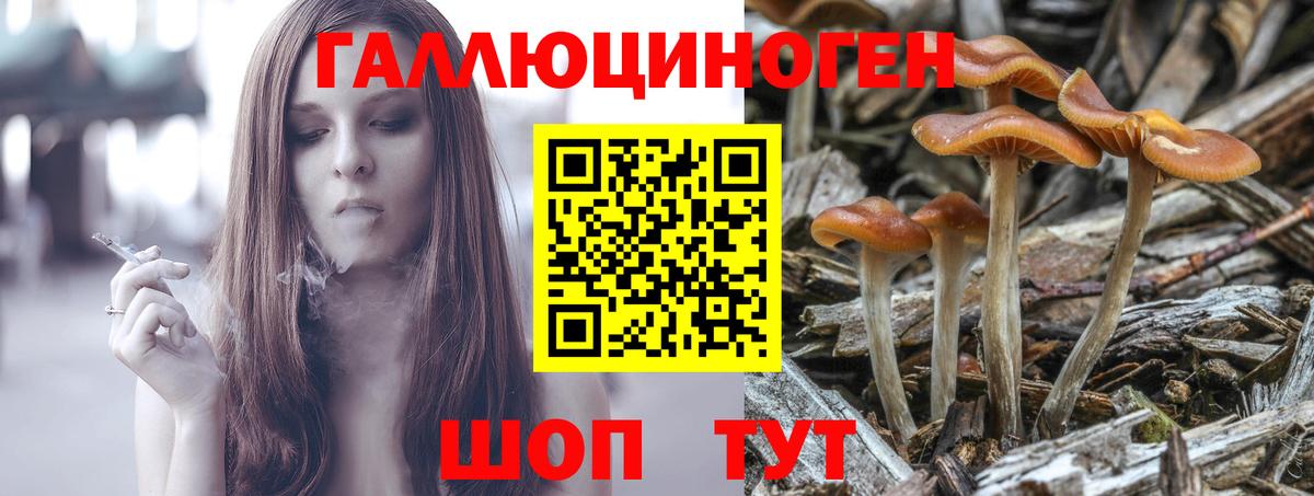 Богородск  Псилоцибиновые грибы MAGIC MUSHROOMS  Вход с VPN  Галлюциногенные грибы MAGIC MUSHROOMS 